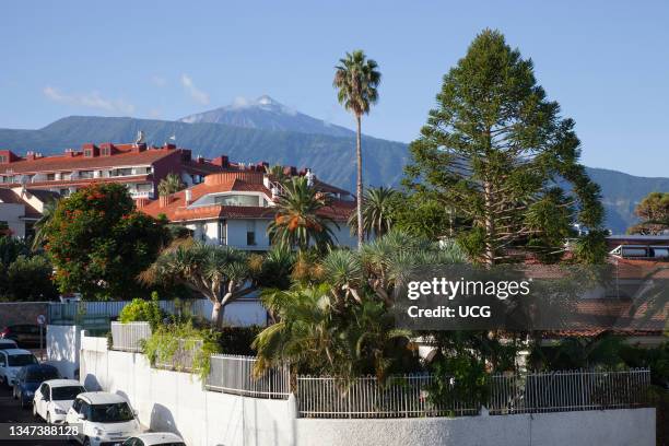 View From Apartamentos Bellavista. Teide Volcano. Puerto De La Cruz Town. Tenerife Island. Canary Archipelago. Spain. Europe.