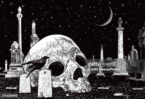 bildbanksillustrationer, clip art samt tecknat material och ikoner med spooky cemetery with skull and raven - hot dog