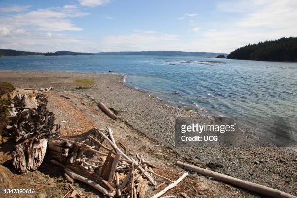 Beach. La Conner Campground. Swinomish Indian Reservation. Skagit Bay. Fidalgo Island. La Conner. State of Washington. Usa. America.