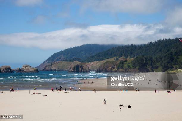Beach. Village of Cannon Beach. Oregon. Usa. America.