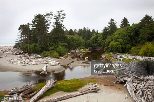 Kalaloch Beach. State of Washington. Usa. America.