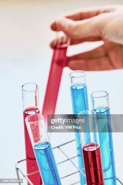 Test tubes with dye liquid. Basque Country, Spain, Europe.