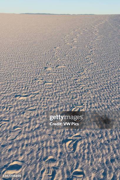 Footprints in the sand in White Sands National Park, New Mexico.