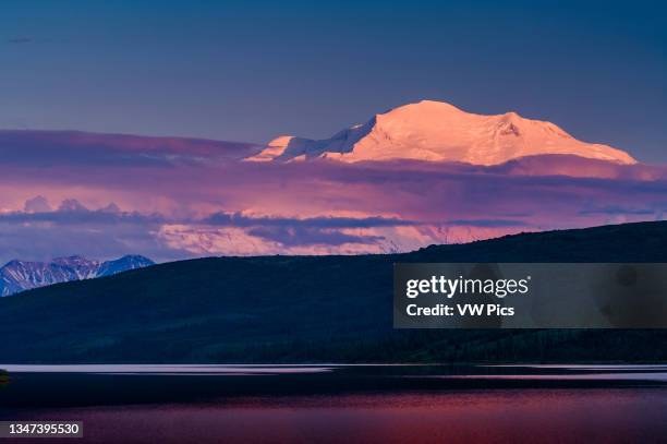 With alpenglow in Denali National Park, reflected in Wonder Lake, Alaska, USA.