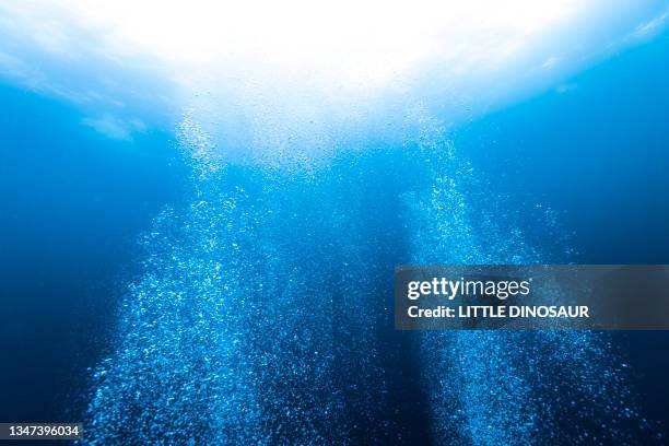 bubbles from scuba - undersea diver stock pictures, royalty-free photos & images