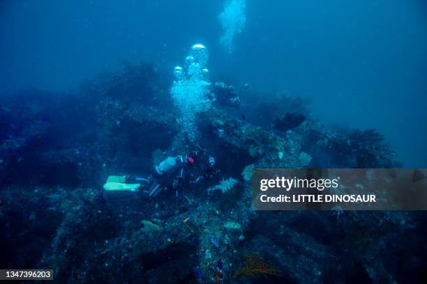 scuba divers who shoot beautiful seascapes at an artificial reef point. owase city, mie japan - macchina fotografica subacquea foto e immagini stock