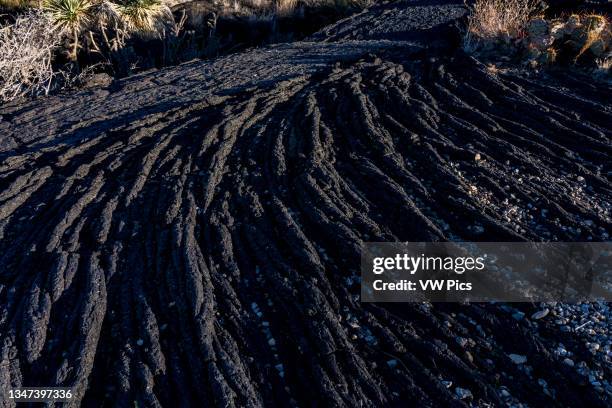Pahoehoe lava looks like twisted rope in the Valley of FIres Recreation Area, New Mexico.