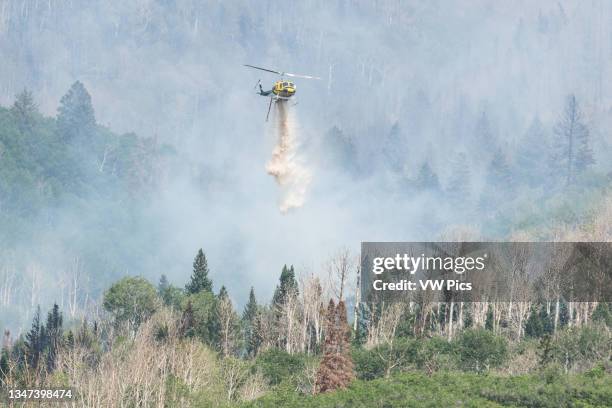 Bell 205-A1 firefighting helicopter drops water on a wildland fire in the La Sal Mountains in Utah.