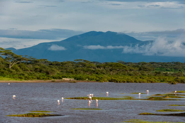 Human activities pose a threat to the Serengeti ecosystem in Africa.