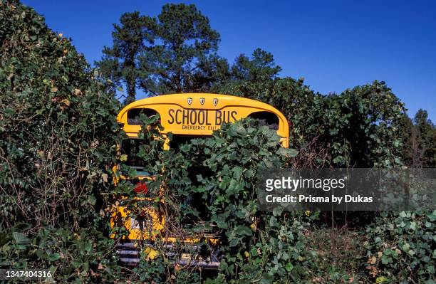 Southern, Dixie, Georgia, school bus overgrown with Kudzu.