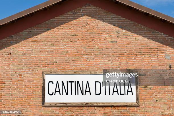Cantina D'italia. Roddi. Piedmont. Italy.