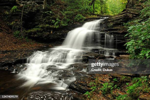 Onondaga Falls, Waterfalls, The Glens, Ricketts Glen State Park, Pennsylvania, USA.