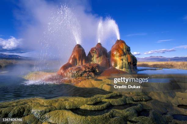 USA, News Photo