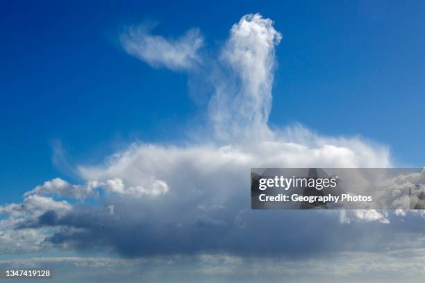 Unusual tower shaped cumulus rain cloud floating in blue sky above Shingle Street, Suffolk, England, UK.