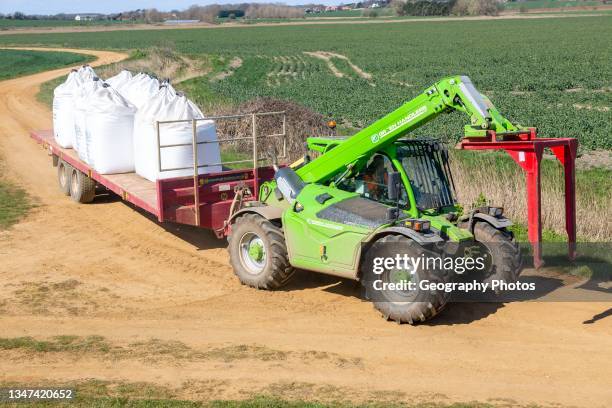 Telehandler vehicle with trailer carrying bags of nitrate fertilizer, Alderton, Suffolk, England, UK.