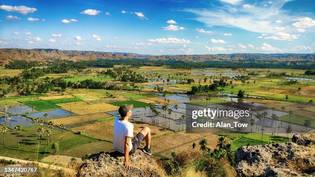 men aerial view to paddy field at bukit persaudaraan waingapu sumba island, east nusa tenggara, indonesia - sumba stock pictures, royalty-free photos & images