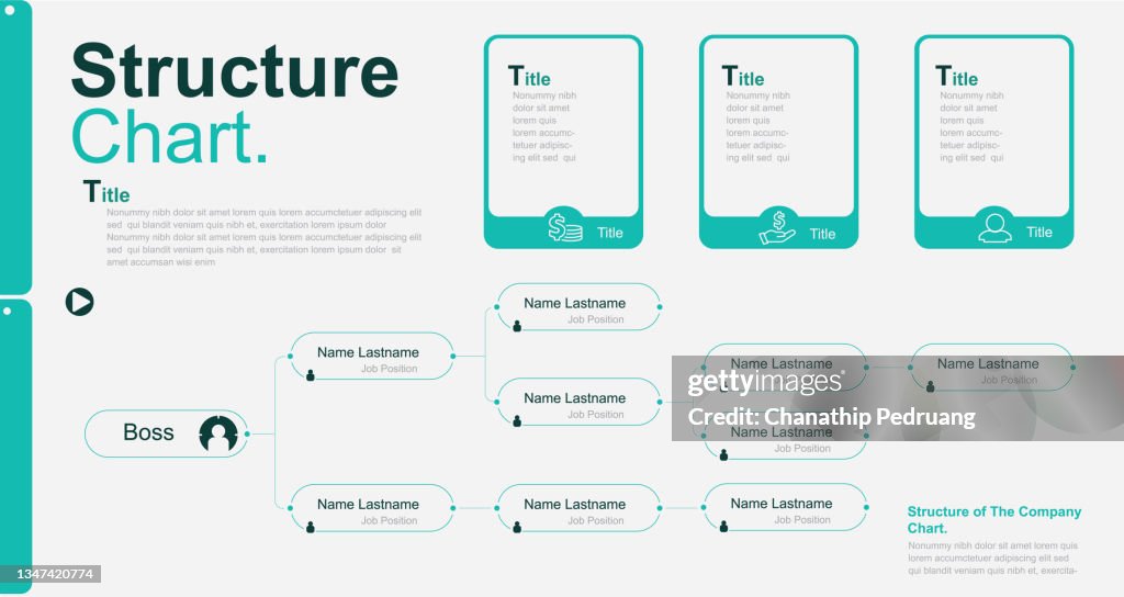 Org Structure Graphics Structure Of The Company Business Hierarchy Organogram Chart ...