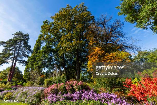 England, Surrey, Guildford, RHS Wisley, Autumn Colours.