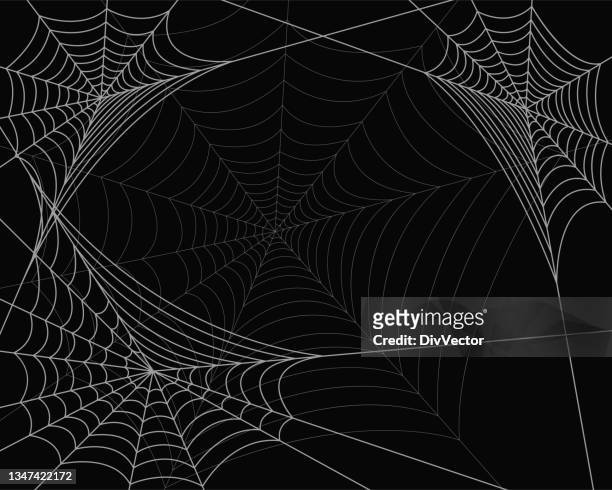 702 Cartoon Spider Web Photos and Premium High Res Pictures - Getty Images
