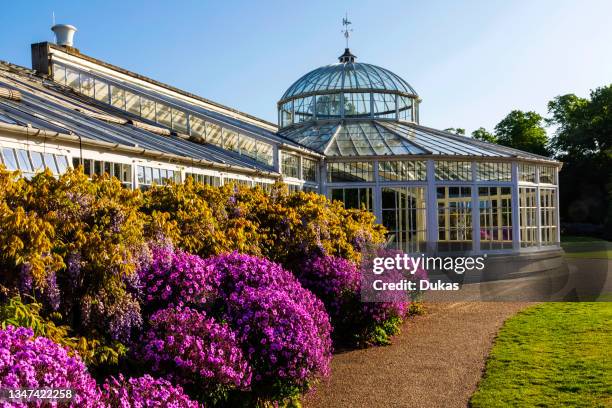 England, London, Chiswick, Chiswick House and Gardens, The Conservatory.