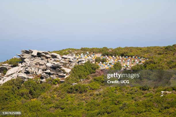 View in Monokambi area, Ikaria island, Aegean Sea, Greece, Europe.
