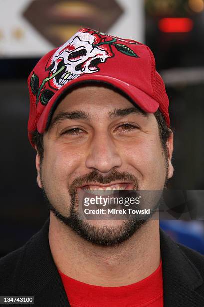 Joey Fatone during "Superman Returns" Los Angeles Premiere at Mann Village and Bruin Theaters in Westwood, California, United States.