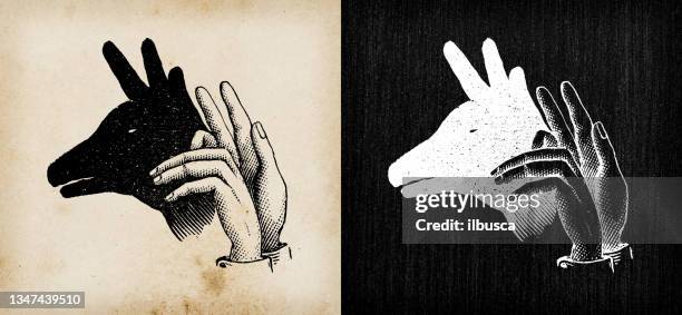 antique illustration: shadow puppetry - shadow puppet stock illustrations