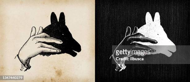 antique illustration: shadow puppetry - shadow puppets stock illustrations