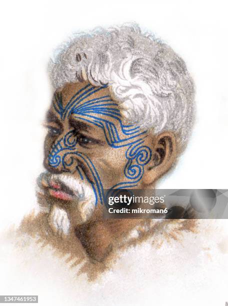 old chromolithograph illustration of the māori man - maori stockfoto's en -beelden