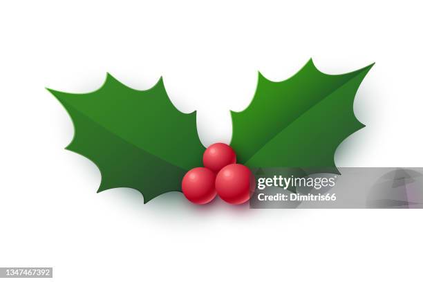 illustrazioni stock, clip art, cartoni animati e icone di tendenza di icona realistica della bacca di agrifoglio. simbolo di natale - agrifoglio