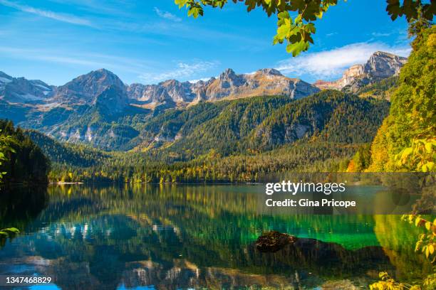 view of a mountain lake in autumn - trentino stock pictures, royalty-free photos & images