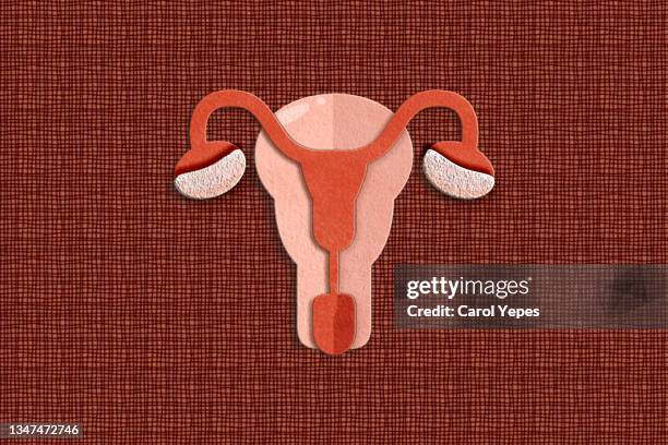 pcos syndrome, polycystic ovary syndrome concept in paper cut - gynecological examination stock-fotos und bilder