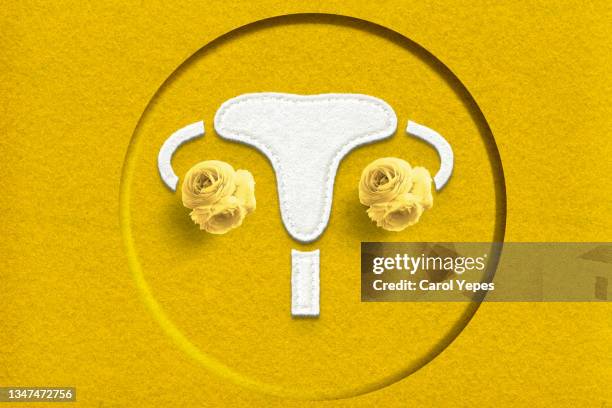 pcos syndrome, polycystic ovary syndrome concept in yellow paper cut - ovarian cyst fotografías e imágenes de stock