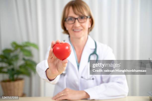 female doctor holding a heart,cardiologist, cardiology center - cholesterol stock pictures, royalty-free photos & images