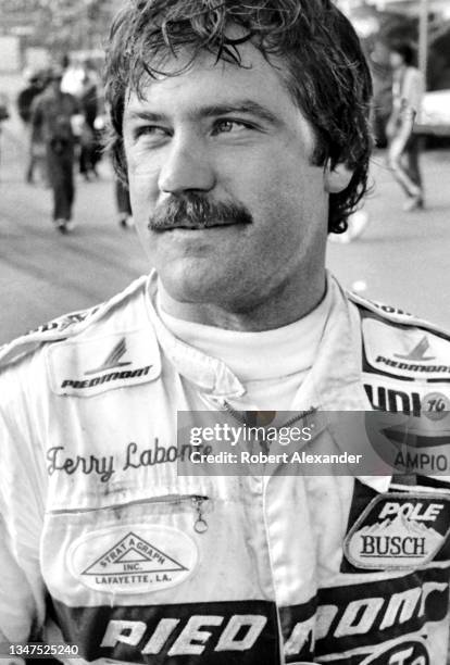 411 Alexander Cools Stock Photos, High-Res Pictures, and Images - Getty ...