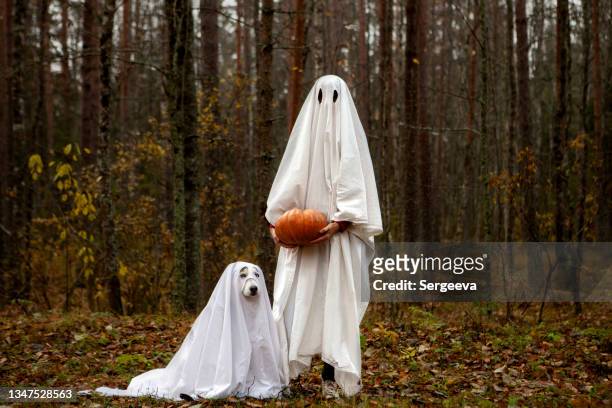 feliz perro de halloween con el dueño - fantasma fotografías e imágenes de stock