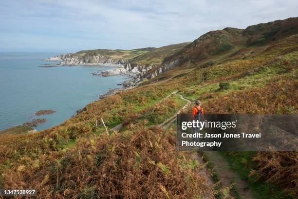 a person walks along the south west coast path in devon - south west coast path stock pictures, royalty-free photos & images