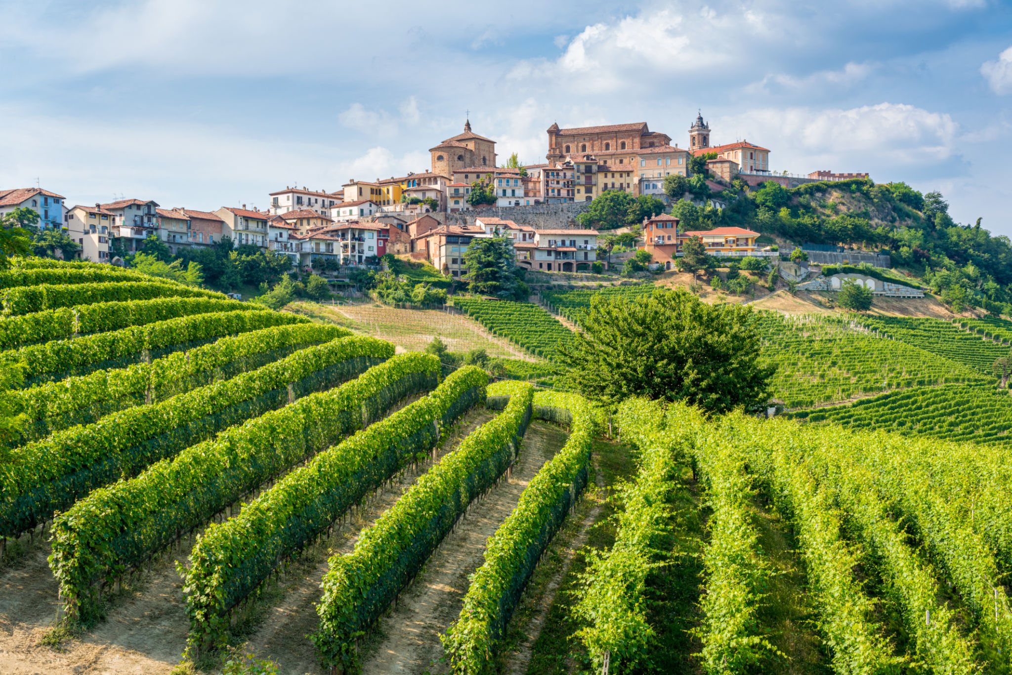 italian winery