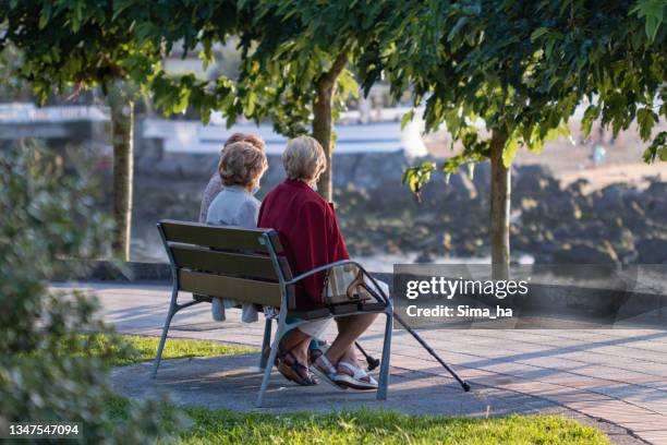 senior women in the park relax at sunset on the coast of the bay of biscay. - reforma imagens e fotografias de stock