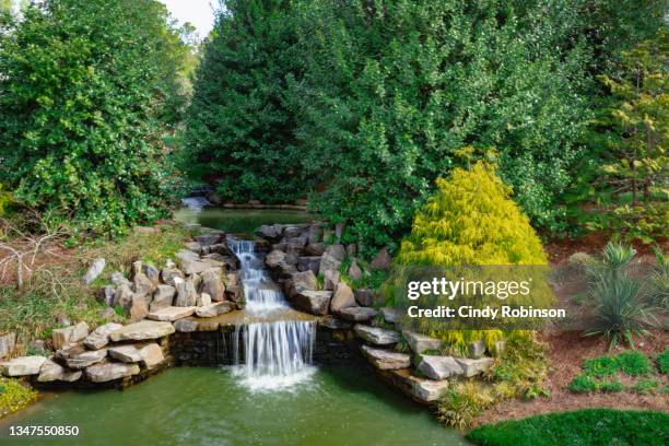 small waterfall - small waterfall stock pictures, royalty-free photos & images