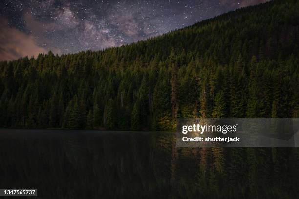 campfire on lakeshore by a forest at night, usa - campfire fotografías e imágenes de stock