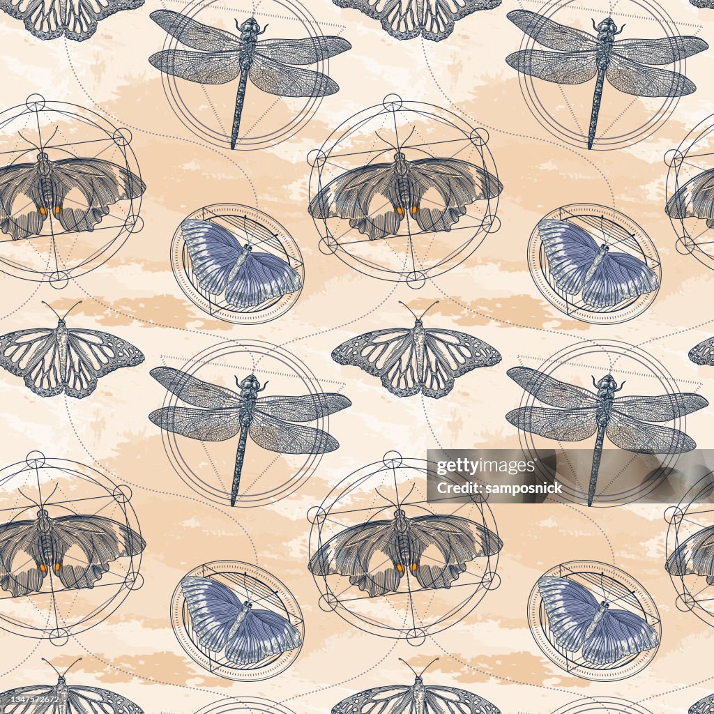 Geometric Dragonfly Pattern Moth Butterfly And Dragonfly Sacred Geometry Seamless Pattern High-Res ...