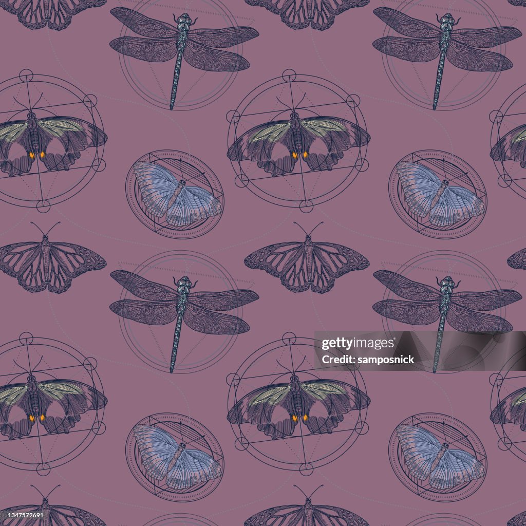Geometric Dragonfly Pattern Moth Butterfly And Dragonfly Sacred Geometry Seamless Pattern High-Res ...