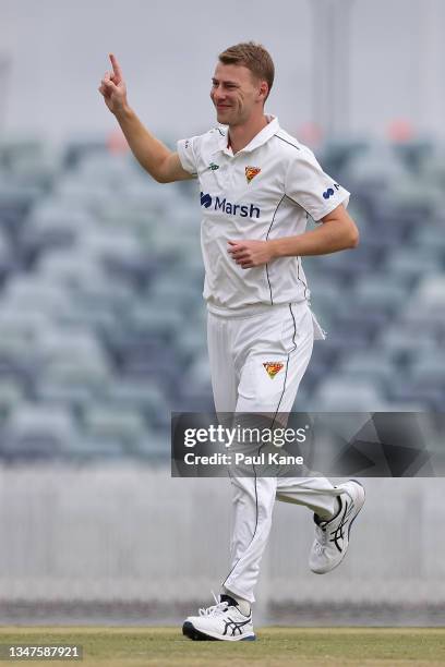 Riley Meredith of Tasmania celebrates the wicket of Hilton Cartwright of Western Australia during day four of the Sheffield Shield match between...