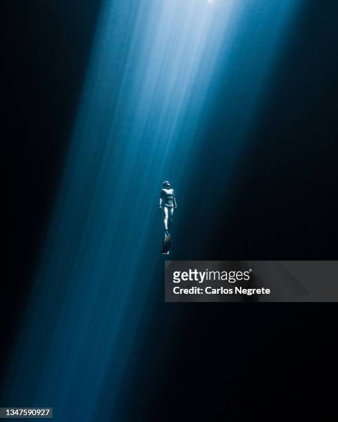 japanese freediver swimming to the surface in a  mexican cenote - 深的 個照片及圖片檔