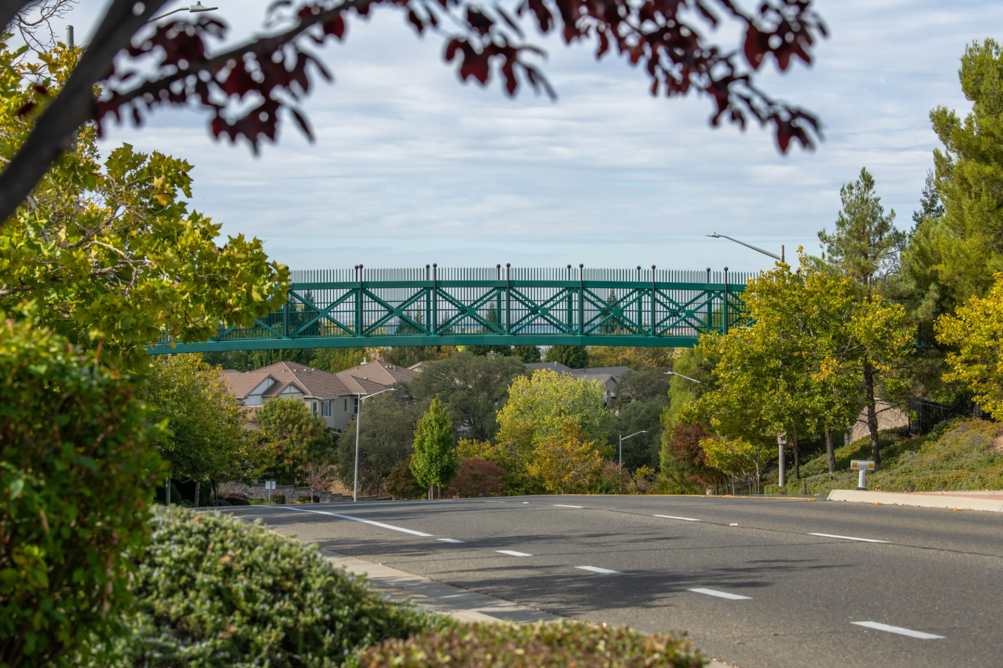 rocklin landscape