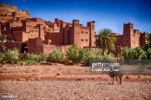 hombre montado en burro ir a la kasbah de ait benhaddou - antigua ciudad en marruecos norte de áfrica - montañas atlas fotografías e imágenes de stock