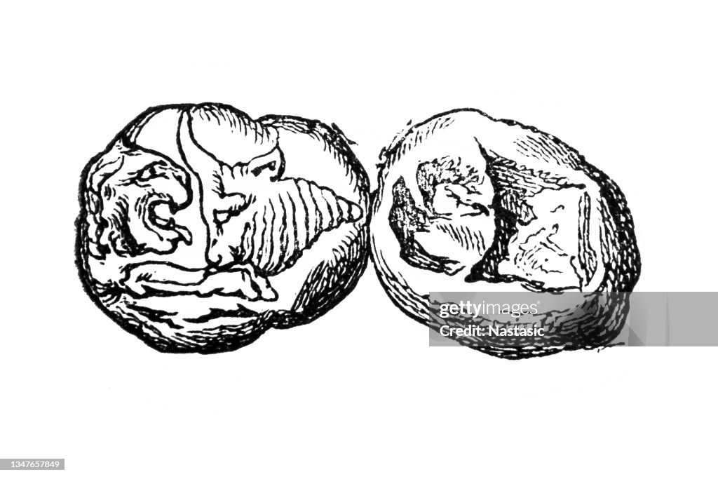 Lydian gold coin