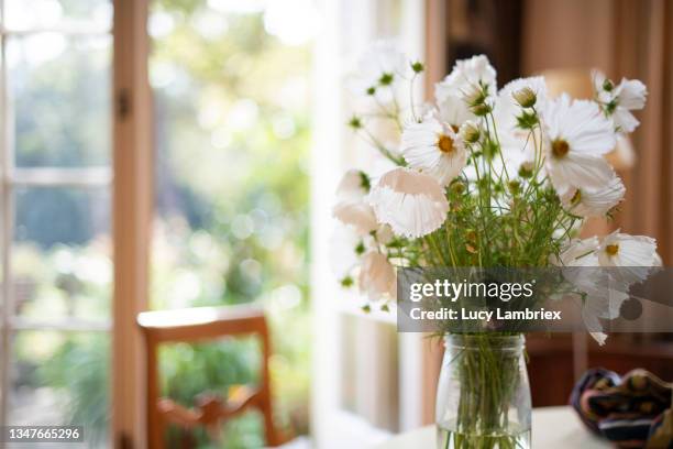 beautiful flowers in a mason jar for a vase: cosmos 'cupcake' - schmuckkörbchen stock-fotos und bilder