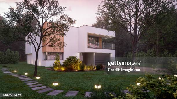 luxury modern house in forest at dawn - garage driveway stock pictures, royalty-free photos & images